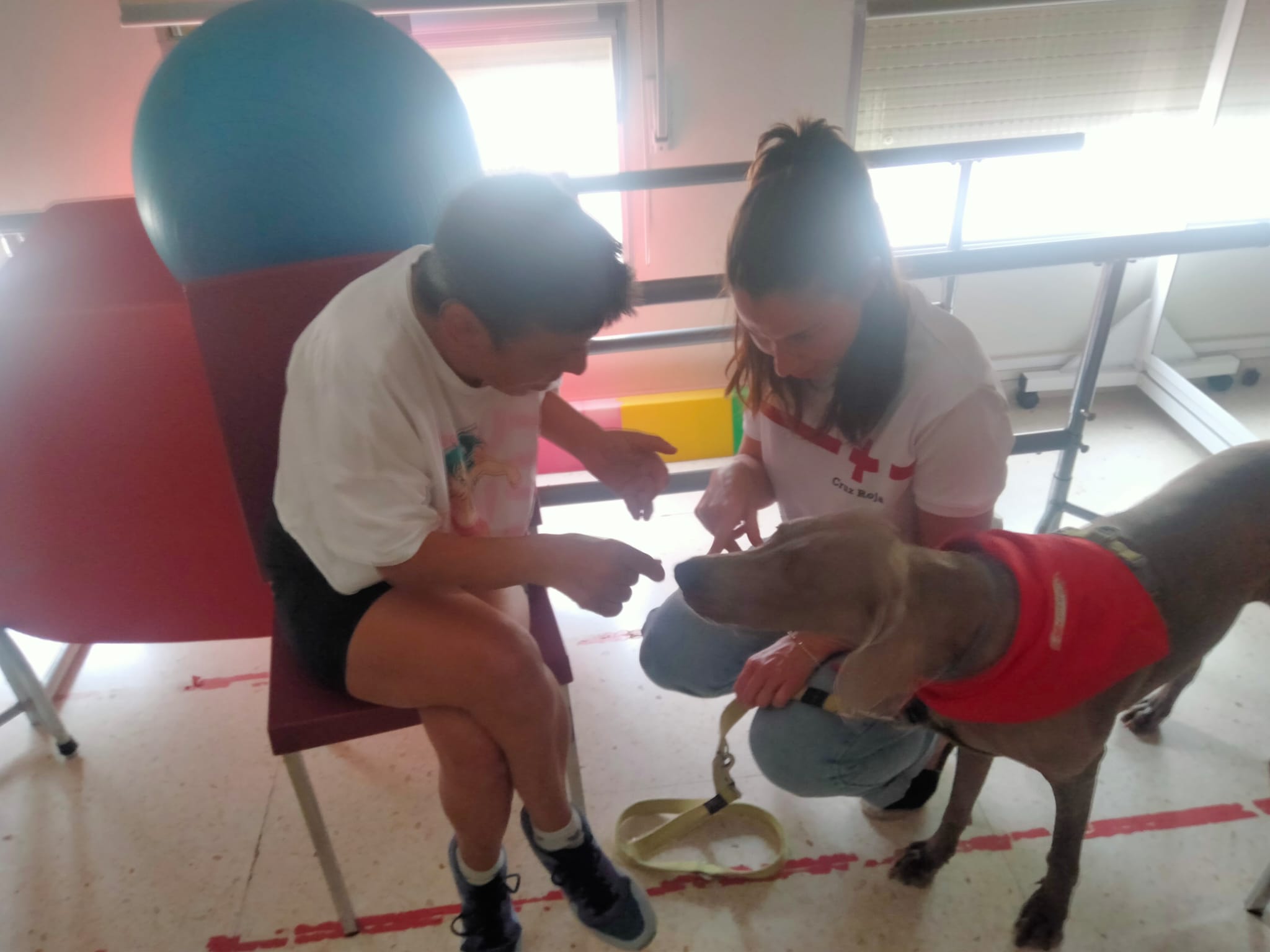 Personas usuarias de la residencia Jubalcoy participan en una jornada de terapia con perros de la unidad canina de Cruz Roja Elche