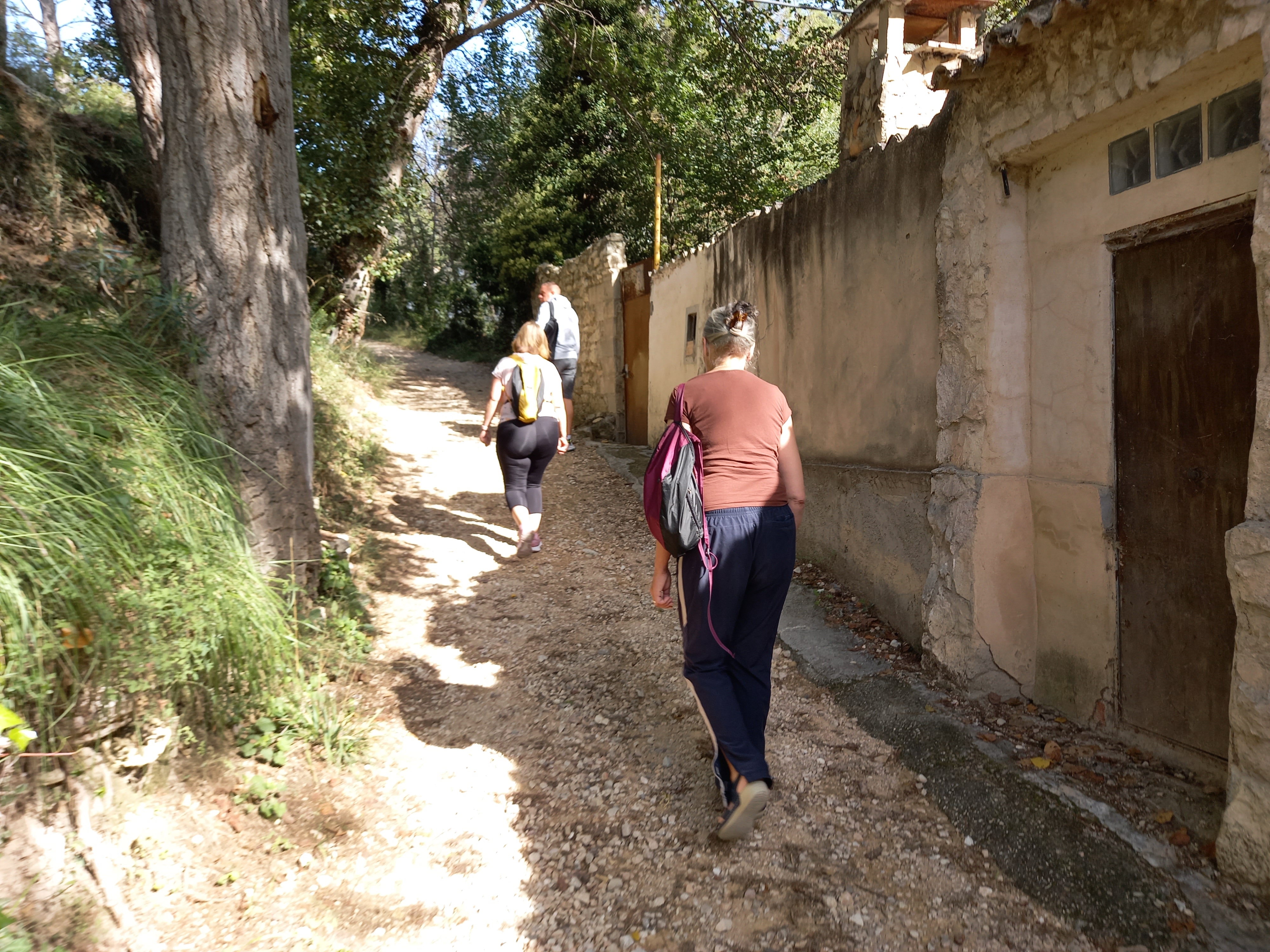 Ruta del barranc dels Molins