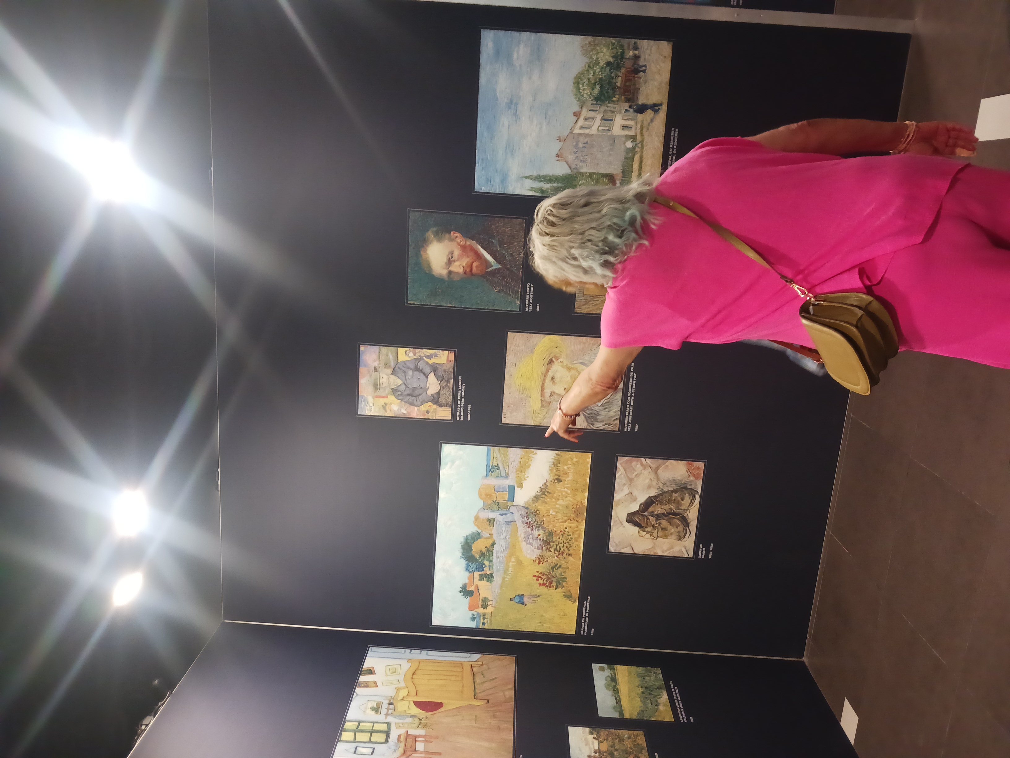 Van Gogh Grandes Éxitos en Alicante