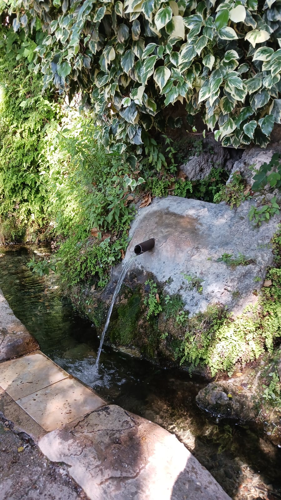 Excursió del CEEM Mossèn Cirilo (Alcoi)