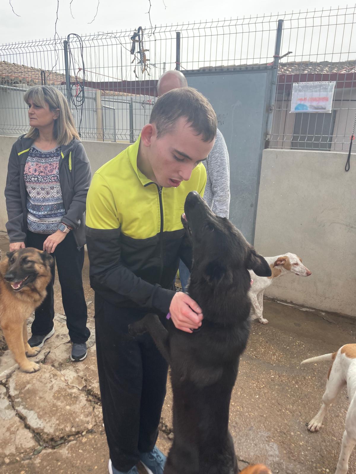 Primer dia de voluntariat de les persones amb discapacitat intel·lectual usuàries de la Residència Caixa Ontinyent de Xàtiva en la Protectora d'animals de la localitat