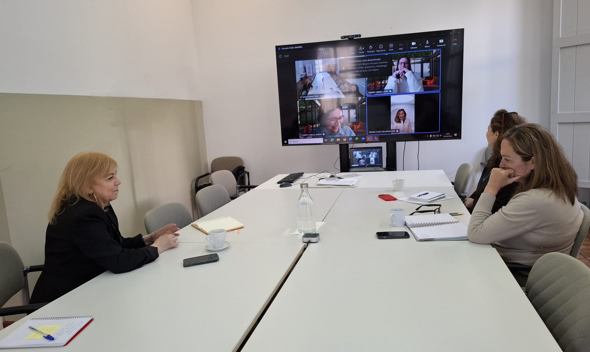 Treballant amb l'Agència Madrilenya per al Suport a les Persones Adultes amb Discapacitat 